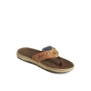 baitfish_flip_flops_2.webp Sperry Sandals^Baitfish Flip Flops LightBrown