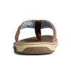 baitfish_flip_flops_3.webp Sperry Sandals^Baitfish Flip Flops LightBrown