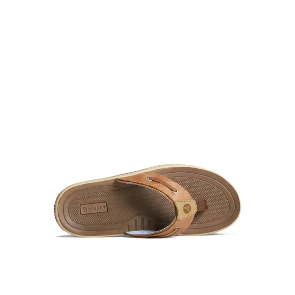 baitfish_flip_flops_4.webp Sperry Sandals^Baitfish Flip Flops LightBrown