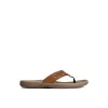 Sperry Sandals^Baitfish Leather Flip Flop BrownLeatherMixedMaterial
