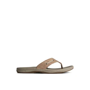 baitfish_leather_flip_flo_0-2.webp Sperry Sandals^Baitfish Leather Flip Flop MediumBeige