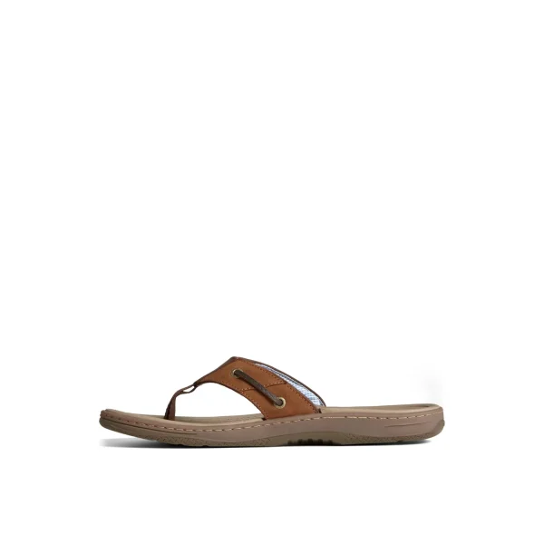 Sperry Sandals^Baitfish Leather Flip Flop BrownLeatherMixedMaterial