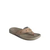 baitfish_leather_flip_flo_2-2.webp Sperry Sandals^Baitfish Leather Flip Flop MediumBeige