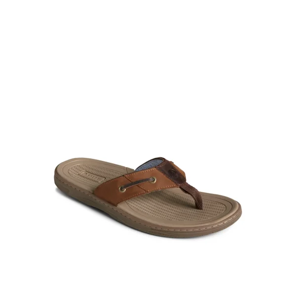 Sperry Sandals^Baitfish Leather Flip Flop BrownLeatherMixedMaterial