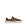 Sperry Sneakers^Harbor Tide Sneaker Brown