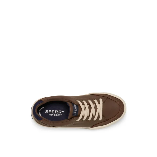 Sperry Sneakers^Harbor Tide Sneaker Brown