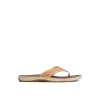 Sperry Sandals^Havasu Perf Flip Flop BrownLeatherMixedMaterial