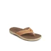 Sperry Sandals^Havasu Perf Flip Flop BrownLeatherMixedMaterial