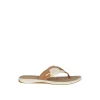 parrotfish_sandal_0.webp Sperry Sandals^Parrotfish Sandal Natural