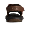 rivington_sandal_3.webp Sperry Sandals^Rivington Sandal Brown