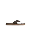 Sperry Sandals^Santa Cruz II Thong Sandal Brown