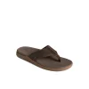 Sperry Sandals^Santa Cruz II Thong Sandal Brown