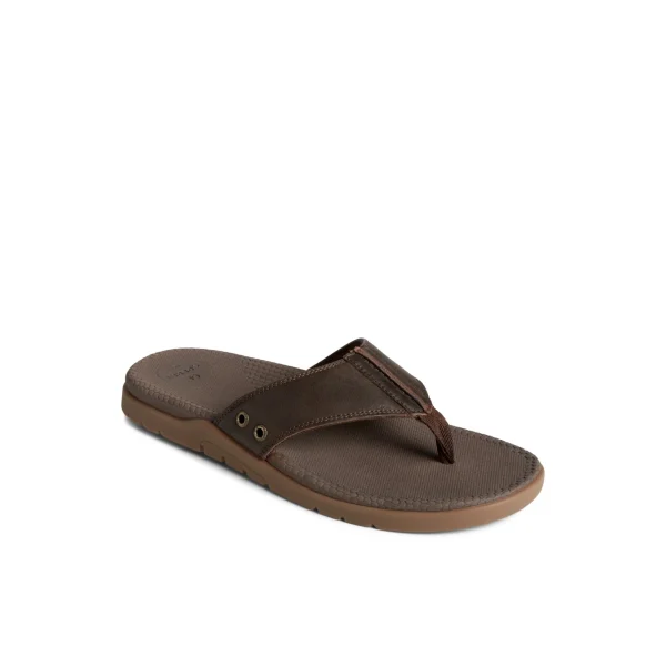 Sperry Sandals^Santa Cruz II Thong Sandal Brown