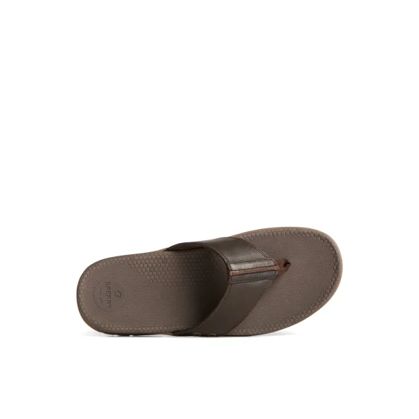 Sperry Sandals^Santa Cruz II Thong Sandal Brown