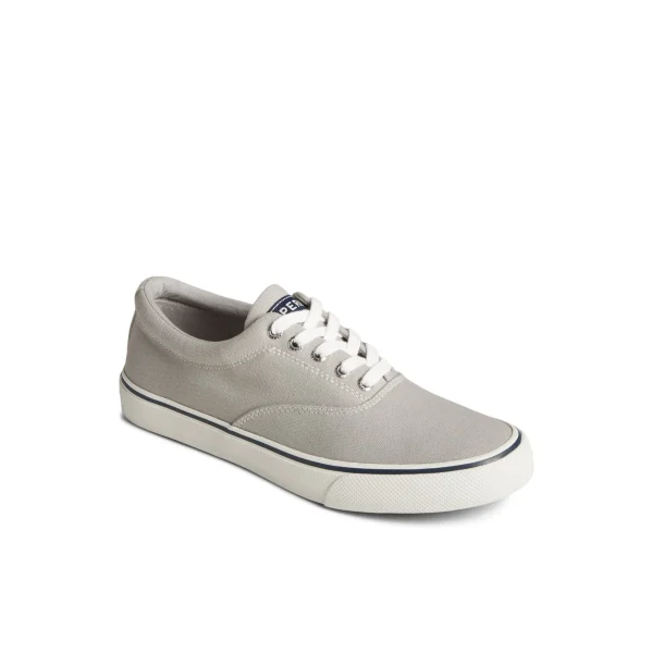 Sperry Shoes | Sneakers^Striper II Canvas CVO Sneaker Grey