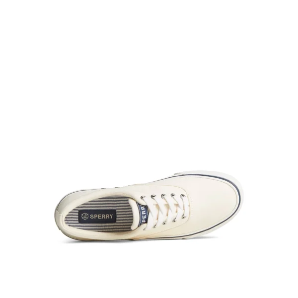 Sperry Shoes | Sneakers^Striper II Canvas CVO Sneaker White