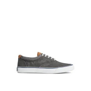Sperry Shoes | Sneakers^Striper II CVO Sneaker Black