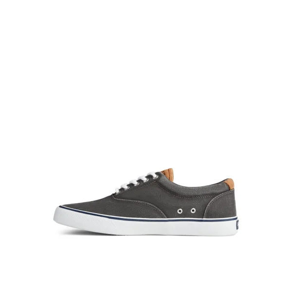 Sperry Shoes | Sneakers^Striper II CVO Sneaker Black