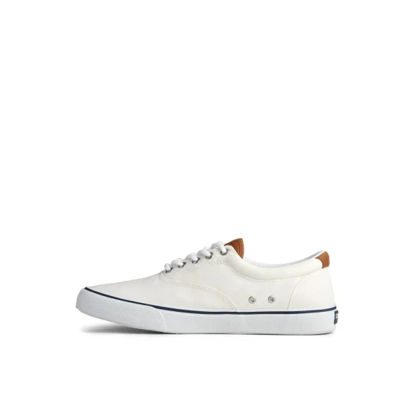 Sperry Shoes | Sneakers^Striper II CVO Sneaker White