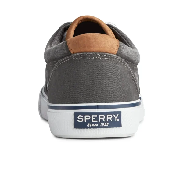 Sperry Shoes | Sneakers^Striper II CVO Sneaker Black