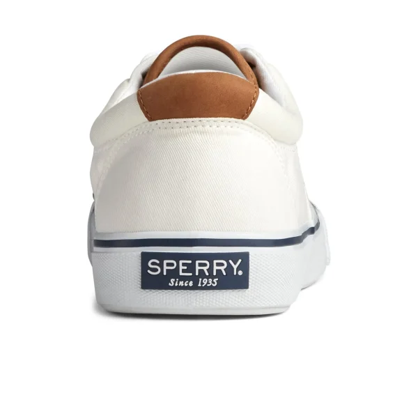 Sperry Shoes | Sneakers^Striper II CVO Sneaker White