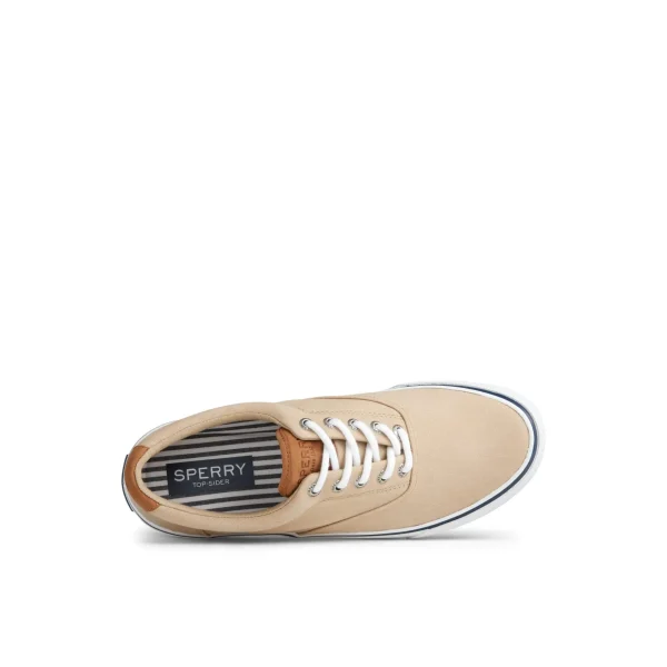 striper_ii_cvo_sneaker_4-2.webp Sperry Shoes | Sneakers^Striper II CVO Sneaker MediumBeige
