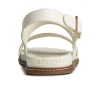 Sperry Sandals^Waveside PLUSHWAVE™ Backstrap Sandal Bone